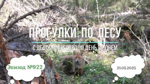 Прогулки по лесу. День за днем с дедом Многоведом. 21 мая 2025г. Эпизод 922.