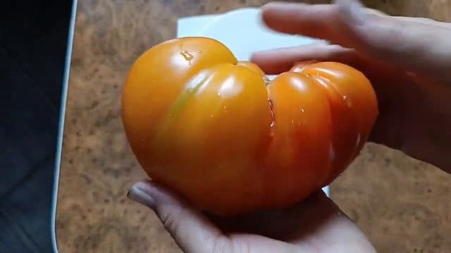 Томат Сердце абрикосовой зебры смотреть онлайн