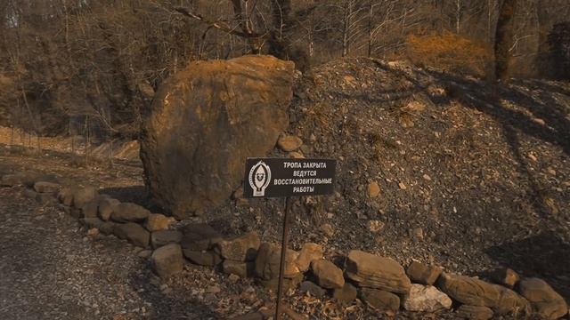 Hongqi против Merсedec в Яндекс такси.