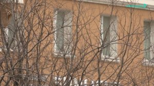 Норильские новости - 22.05.2025