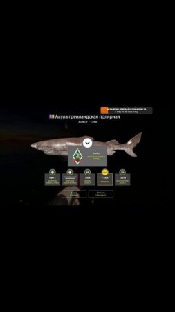 #shorts РУССКАЯ РЫБАЛКА 4  #fishing #рыба #рыбалка