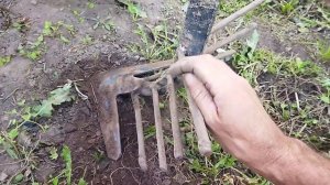 Уборка картофеля, самодельной веерной копалкой, моток