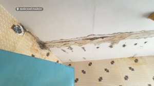 Дождь с улицы мгновенно проникает в квартиры жителей двухэтажного дома в селе Малоенисейское
