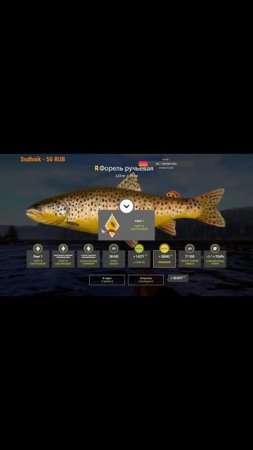 #shorts  #рыбалка #carpfishing #fishing троф форель русская рыбалка 4 тунгуска