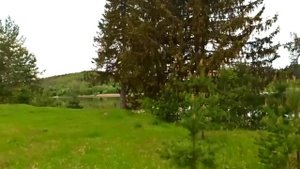 Каменка 18 мая 2025