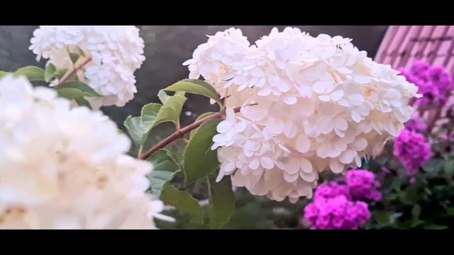 ,,Вальс цветов".Автор музыки Светлана Леончук. смотреть онлайн