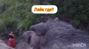 Наукой доказано!