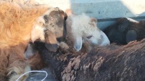 22.05.25 У каждого свой отпуск