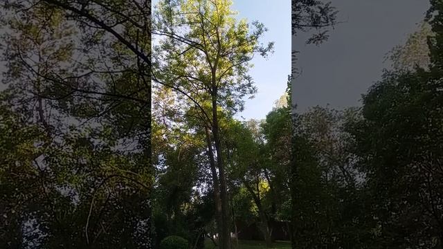 Обзор знаний большинства встреченных мной хороших мо? смотреть онлайн