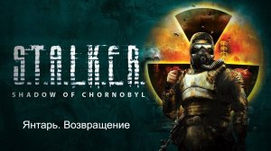 S.T.A.L.K.E.R.: Тень Чернобыля. Прохождение. Янтарь. Возвращение