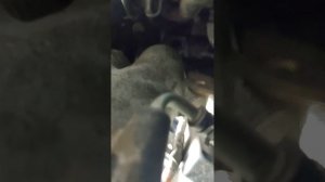 снять коллектор Nissan Murano