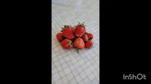 #газ67?_клубника_краснодар2025