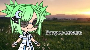 {}Вопрос-ответ{}