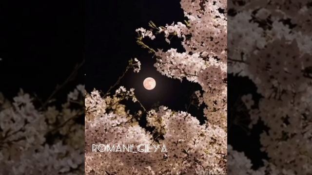 Цыганская песня 💫 Лезгин белаш - Бах бари смотреть онлайн