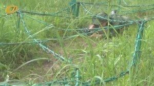 ПЕРВЕНСТВО ПО ВОЕННО-ПРИКЛАДНОМУ МНОГОБОРЬЮ ПРОШЛО В ВОЕННО-СПОРТИВНОМ КЛУБЕ "БУ-ДО"