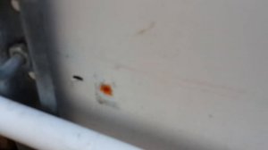 Доработки теплицы "Сибирский агроном".