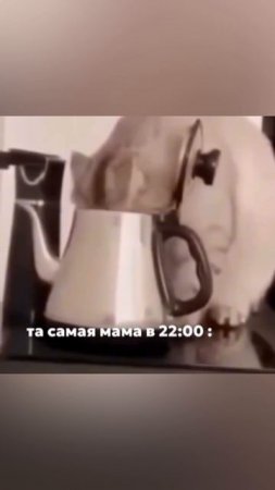 Учителя — не роботы: как нарушение границ ведёт к выгоранию🚧