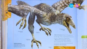 Навигатор. Новости (от 24.02.2025)