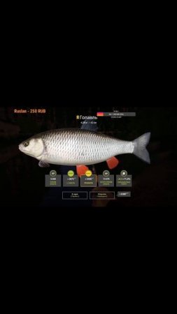 #shorts РУССКАЯ РЫБАЛКА 4 ТРОФ ГОЛАВЛЬ ВЬЮНОК #рыбалка #carpfishing #fishing