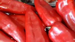 СЛАДКИЙ ПЕРЕЦ КАПИ 🌶 ГИГАНТ 🌶 ОГРОМНЫЙ 🌶 СОЧНЫЙ 🌶 ?