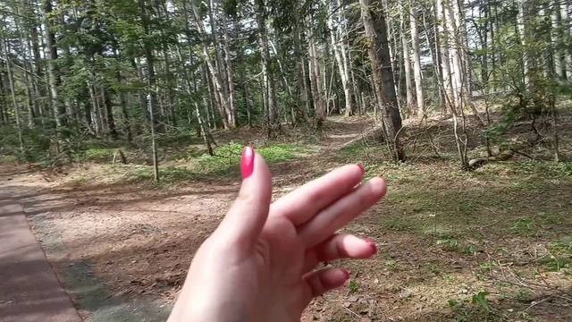 Янтарный парк отдыха / город Долинск