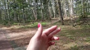 Янтарный парк отдыха / город Долинск
