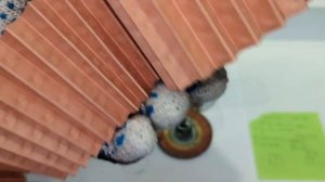 Распил масляного фильтра LYKMC L-1001476 (аналог MANN W719/45)