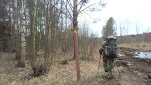 Пеший поход выходного дня