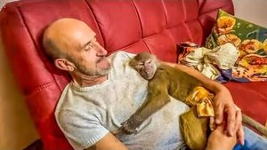 ТАК МИЛО! Люська набегалась, даря Тосе подарки и пришла к папе Владу отдохнуть на ручки!