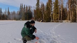рыбалка на колбасу