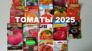 Какие томаты посадила в 2025 году