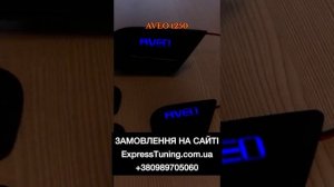 LED подсветка дверных ручек Шевроле Авео Т250 с логотипо?