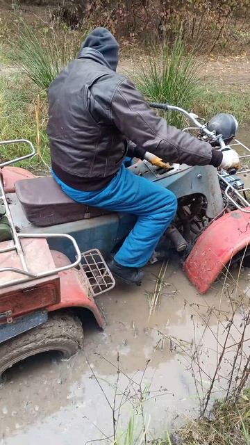 Зим-350 смотреть онлайн