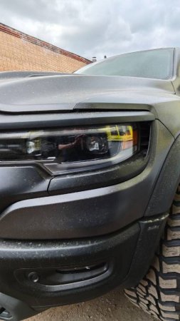 #madcatcustoms