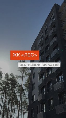 В живых кварталах «ЛЕС» уют ощущается сразу ☀️