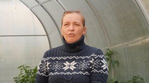Кто ест наши перцы?!». Борьба с гусеницами в теплицах.