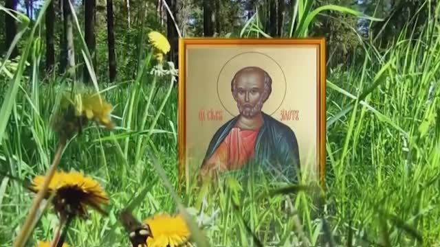 23 мая день апостола Симона. В этот день и простая подковка золотой окажется