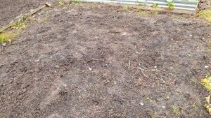 Обрезка малины осенью- на какую высоту обрезать для бо