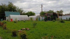 Утренний обход птички🐔🦆🪿🐥. Отвечаю на вопросы подписчиков☀️. Часть 1.