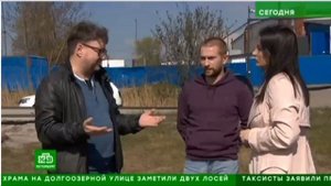 Мост глупости: водители против невидимого препятствия