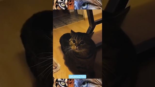 болтуны