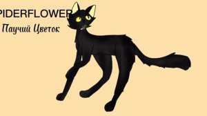 ГЕНЕРАТОР ПЛЕМЁН||1 ЧАСТЬ||ЧЕЛЛЕНДЖ КОТЫ-ВОИТЕЛИ|| #возр