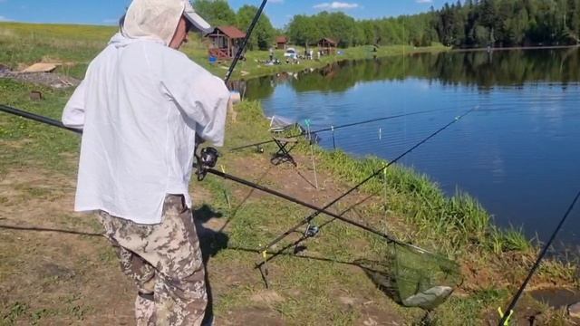 22-05-2025 смотреть онлайн