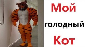 Приколы! 2 ЧАСА НОЧИ - МОЙ ГОЛОДНЫЙ КОТ! Смешное видео - Доми шоу!