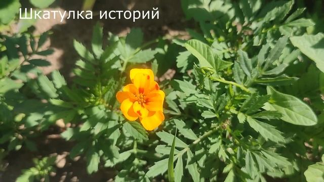 🏚️ Мужчина только переступил порог, как увидел ту, ко смотреть онлайн