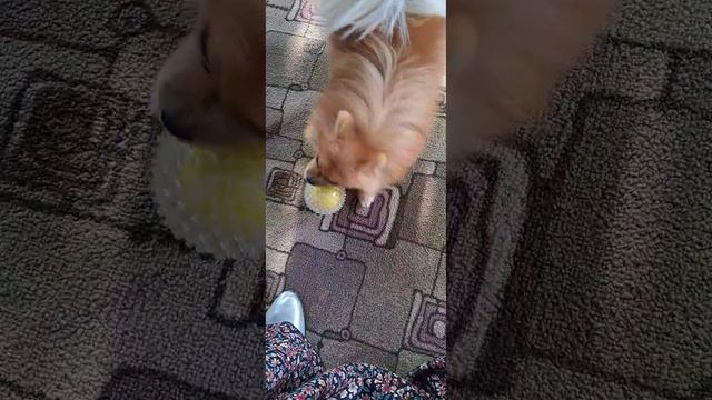 18 сентября 2023 г. смотреть онлайн