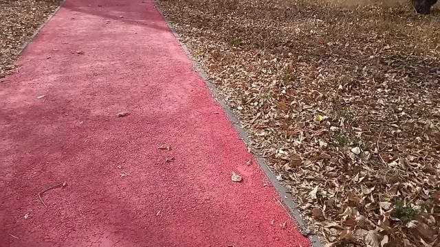 Ты зачем пришла? Убирайся — Свекровь швырнула чемодан смотреть онлайн