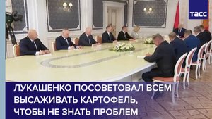 Лукашенко посоветовал всем высаживать картофель, чтобы не знать проблем