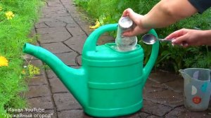ПОЛЕЙТЕ ЭТИМ ПЕРЕЦ ДЛЯ БЫСТРОГО РОСТА И УВЕЛИЧЕНИЯ УРОЖАЯ!!!