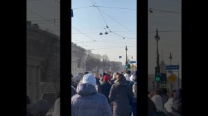 Невский Проспект/Обзор улицы/Санкт-Петербург